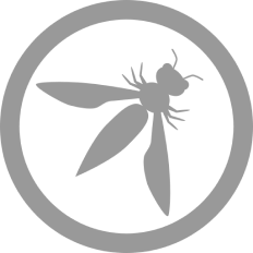 owasp_logo_icon_248268 1 (1)